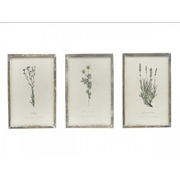 Set of 3 Flower Prints